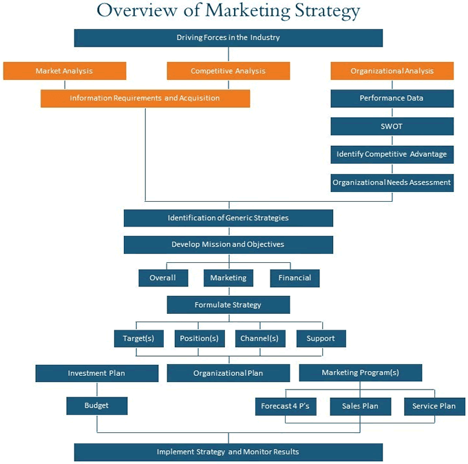 Startup Marketing Strategy Development